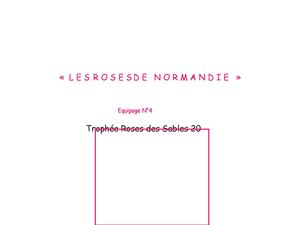 Dossier sponsors word