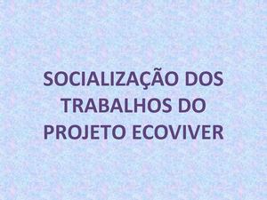 REGISTRO FOTOGRAFICO DA SOCIALIZAÇÃO ECOVIVER