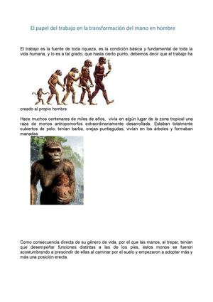 El papel del trabajo en la transformación del mono en hombre