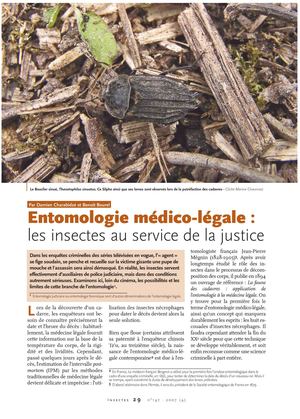 Entomologie médico-légale :   les insectes au service de la justice