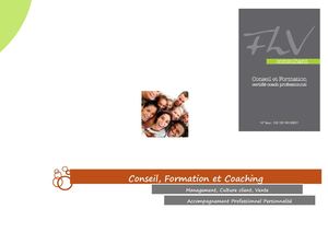 Plaquette FLV Consultant
