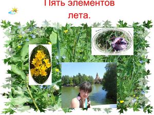 Пять элементов лета