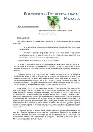 TRABAJANDO CON LA XO: El camino de la Tortuga hasta la flor del Mburucuyá.