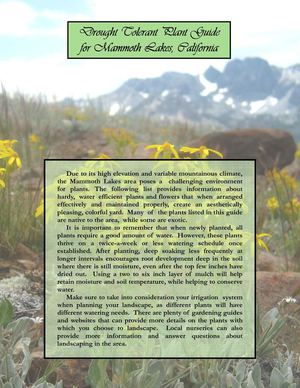 Drought Tolerant Plant Guide for Mammoth Lakes, California