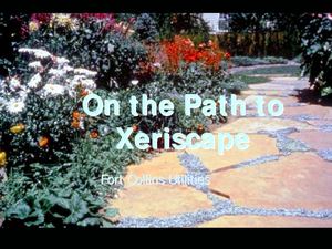 On the Path to Xeriscape - Fort Collins, Colorado