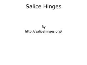 Salice Hinges