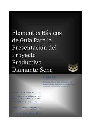 ELEMENTOS DE EJEMPLO ELABORACION PROYECTO PRODUCTIVO SENA