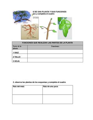 observa los esquemas