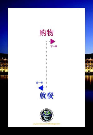 BORDEAUX 历史、住宿、美食、购物与 葡萄酒之路 : 购物