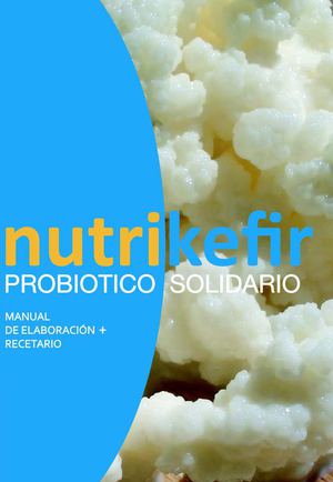 Calaméo Recetario Kefir