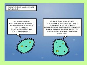 BACTERIAS modificado 2012