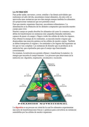 FUNCIÓN DE NUTRICIÓN