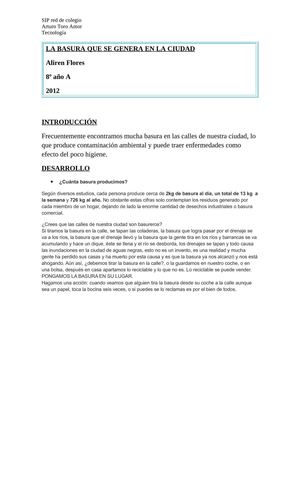 Informe Sobre La Basura En La Ciudad