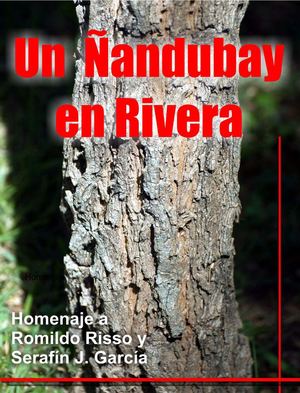 Un árbol de Ñandubay en Rivera
