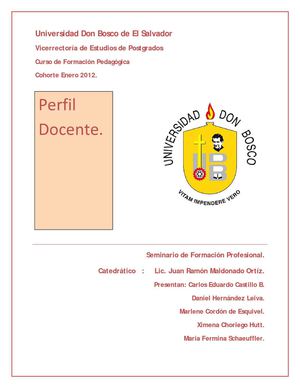 Informe Perfil Docente