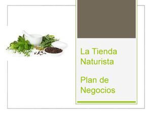 Tienda Naturista, Plan de Negocios