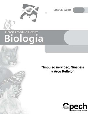 impulso nervioso1234