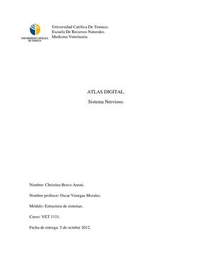 Atlas de inervación