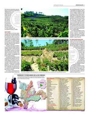 27-250812-ESP-1345827748777_8380490145324250231