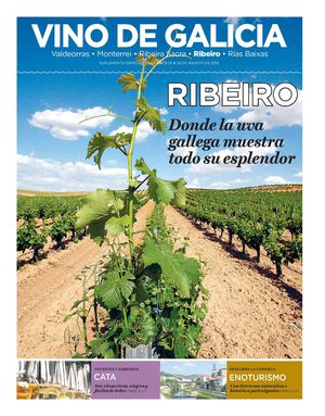 VINO de GALICIA Ribeiro DO