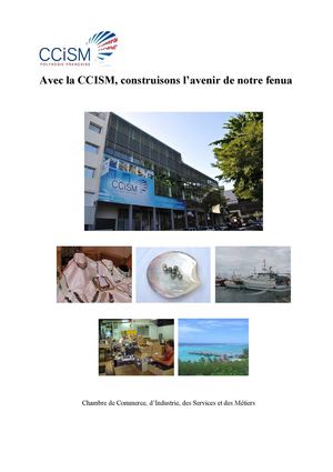 Modifié au 151010Texte dépliant Présentation CCISM