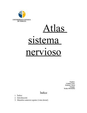 ATLAS SIS . NERVIOSO