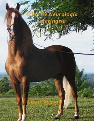 Atlas de neurología veterinaria
