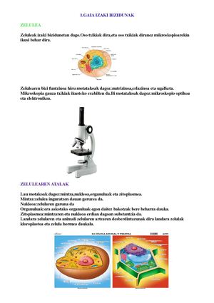 1. GAIA: IZAKI BZIZIDUNAK