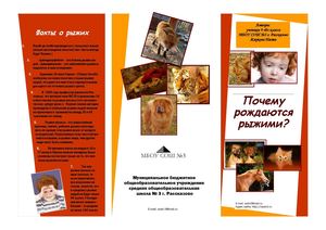 Почему рождаются рыжими?