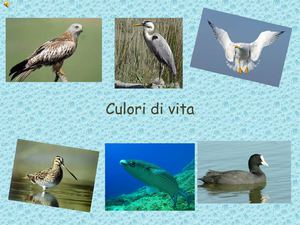 Visite à l'étang de Palu des CM2 de l'école de Travu