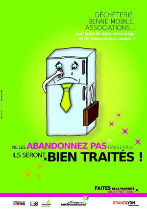 Lyon 8e ÉTATS-UNIS - mini-guide Encombrants - ne l'abandonnez pas !