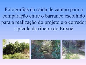 Ribeira do Enxoé - Serpa