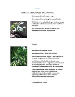 Las plantas y la medicina