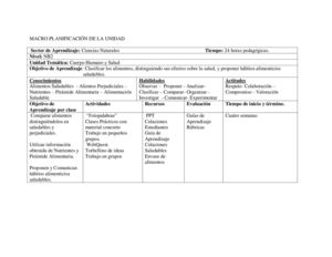 MACRO PLANIFICACIÓN