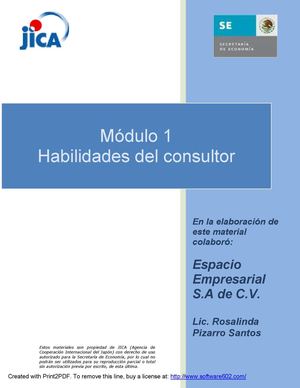 HABILIDADES DEL CONSULTOR