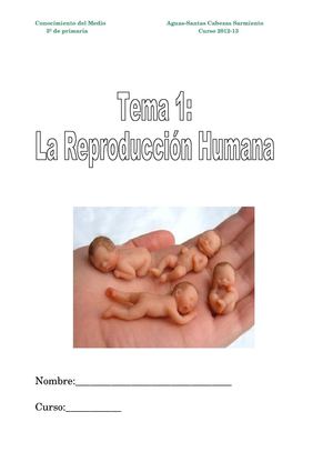 La Reproducción Humana