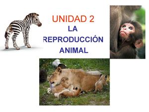 Tema 2: La Reproducción Animal