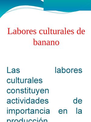Labores culturales de banano