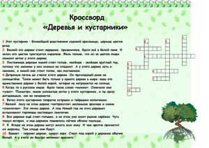 Деревья и кустарниеи