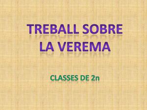 TREBALLS SOBRE LA VEREMA
