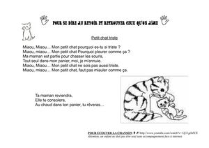Petit chat triste