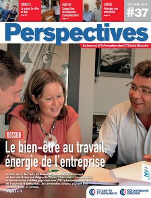 Perspectives37web