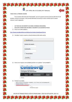 Tarea primera sesión grupo de trabajo Resolución de Problemas.