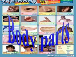 The parts of body