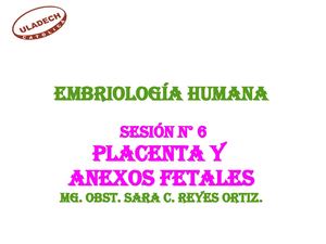 LECTURA DE LA SESIÓN N° 06 PLACENTA Y ANEXOS FETALES(1)
