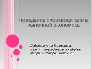 Поведение производителя