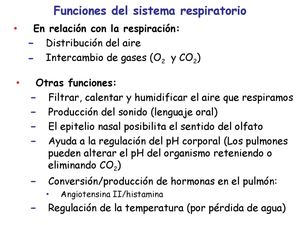 Ap respiratorio