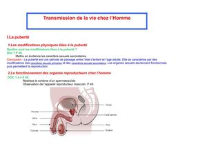 Cours transmission de la vie