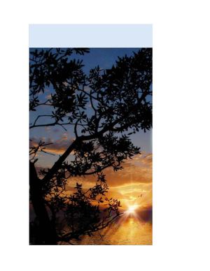 degradacion de la energia y energia solar