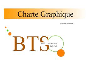 Charte graphique du Bts 
